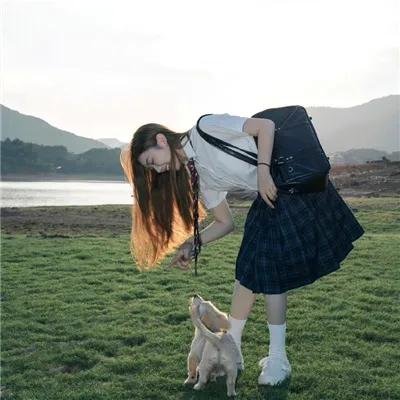 灵书妙探第六季 海报