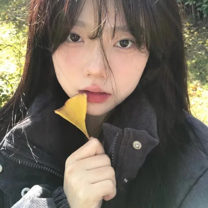 鱼跃在花见 海报